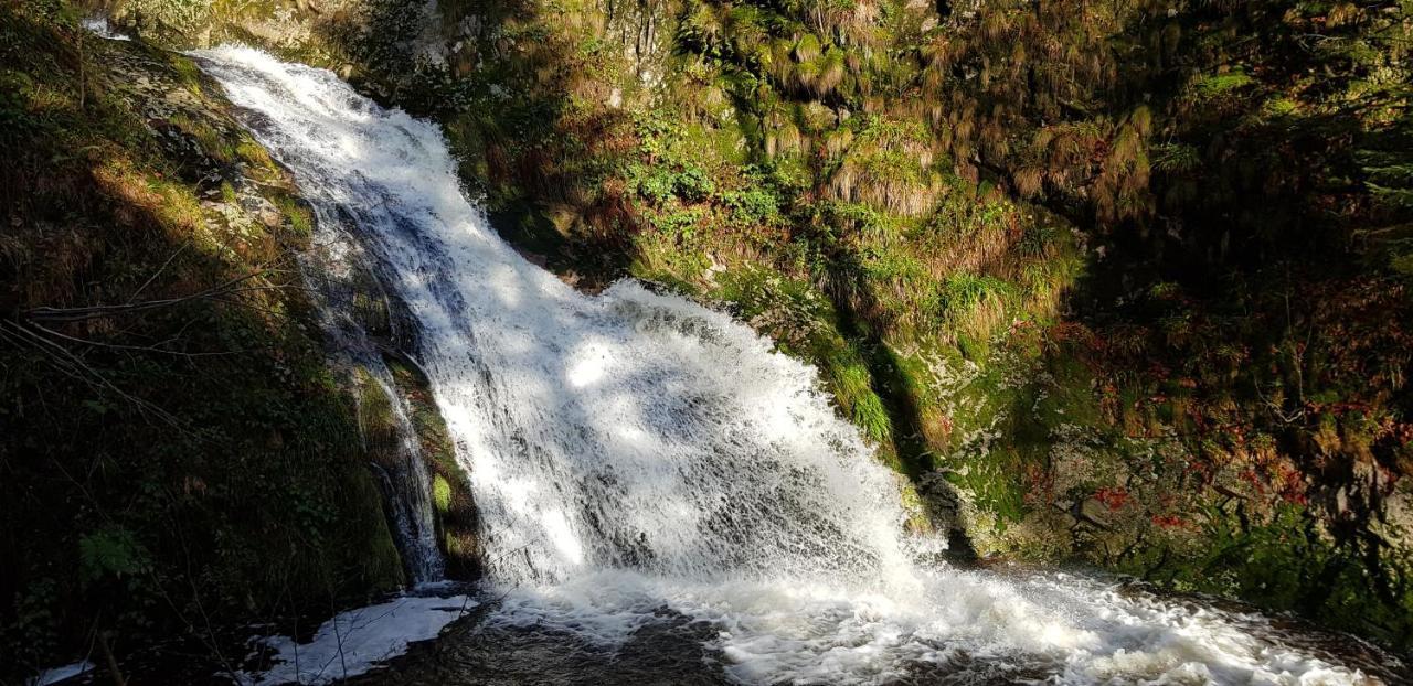 Ferienwohnung "Hirschlein" Im Schwarzwald Baiersbronn Bagian luar foto