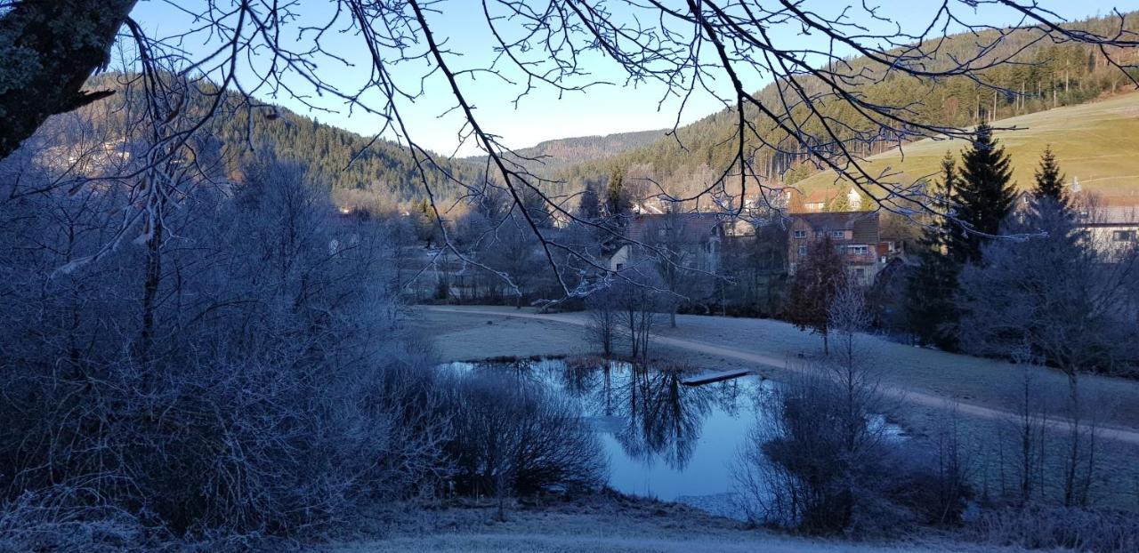 Ferienwohnung "Hirschlein" Im Schwarzwald Baiersbronn Bagian luar foto