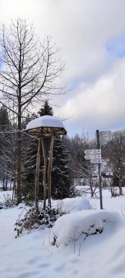 Ferienwohnung "Hirschlein" Im Schwarzwald Baiersbronn Bagian luar foto