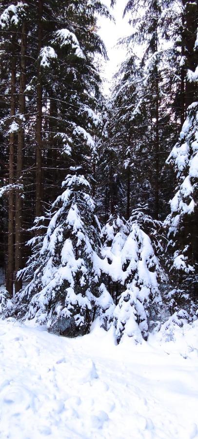 Ferienwohnung "Hirschlein" Im Schwarzwald Baiersbronn Bagian luar foto