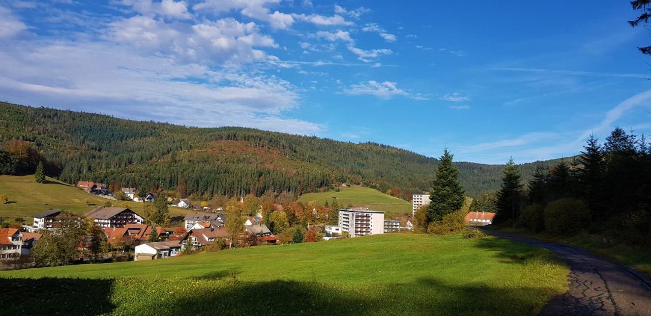 Ferienwohnung "Hirschlein" Im Schwarzwald Baiersbronn Bagian luar foto