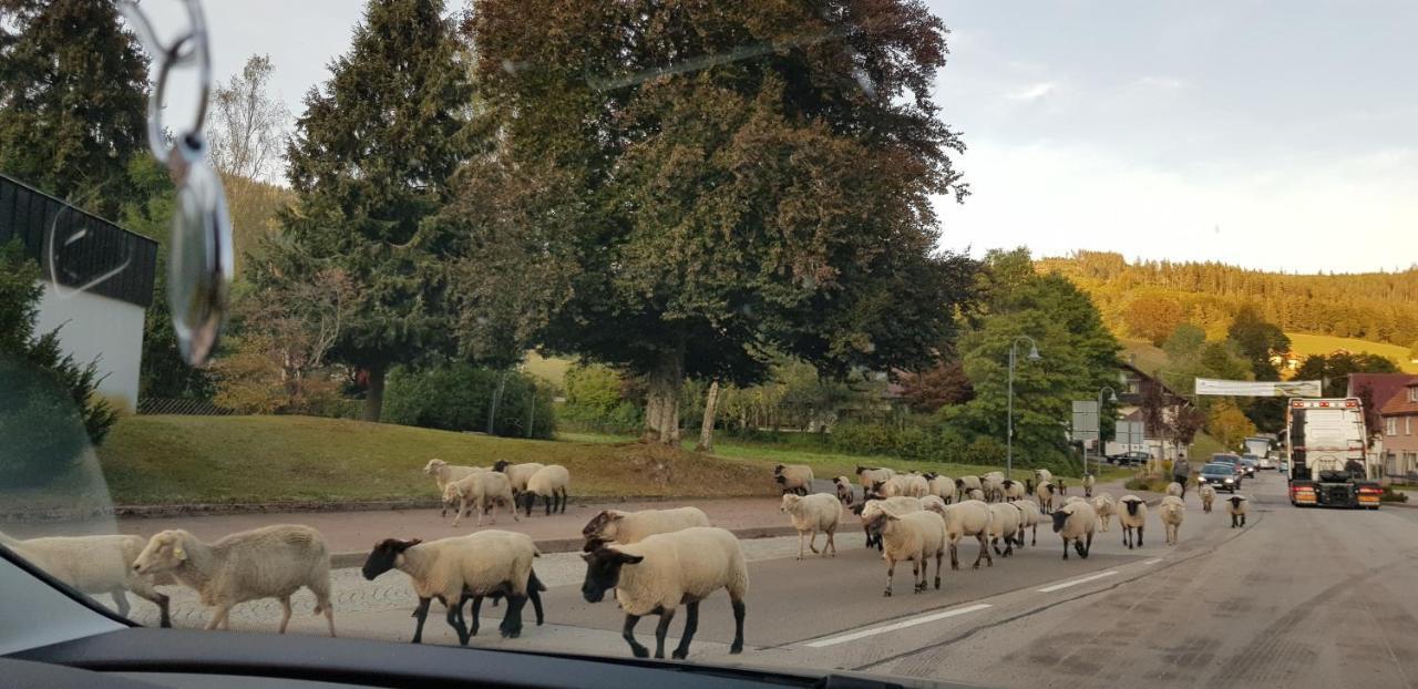 Ferienwohnung "Hirschlein" Im Schwarzwald Baiersbronn Bagian luar foto
